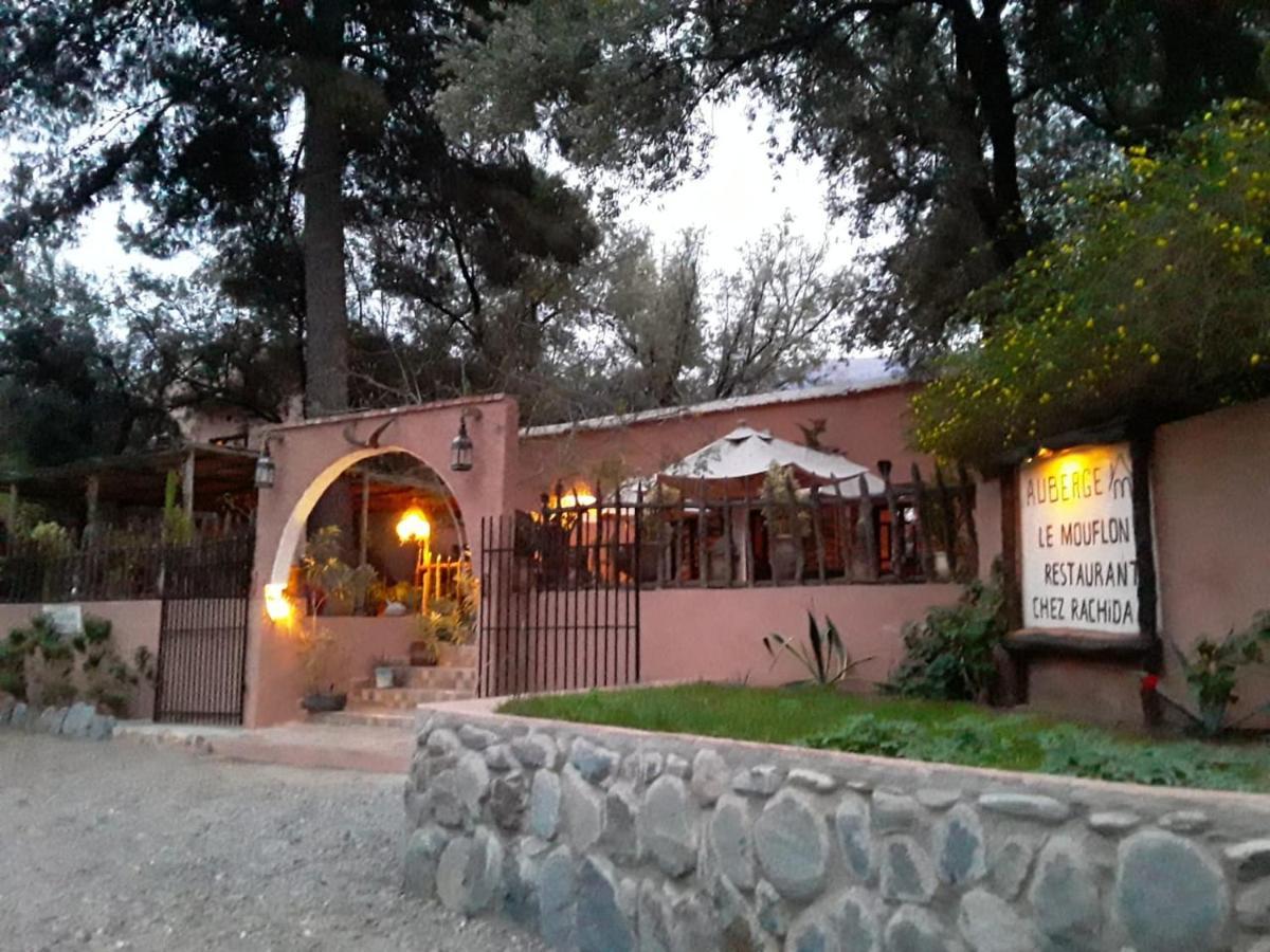 Auberge Le Mouflon Ouirgane Exteriör bild