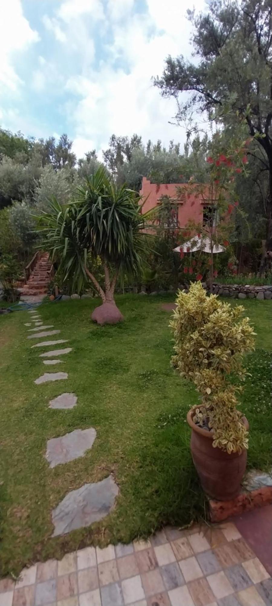 Auberge Le Mouflon Ouirgane Rum bild